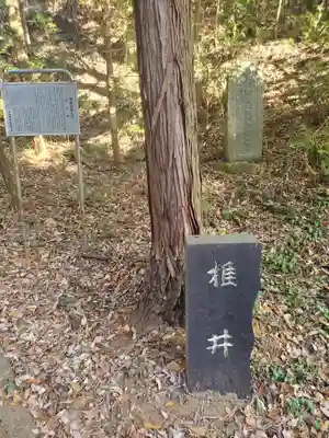 夜刀神社(愛宕神社境内社)のその他建物