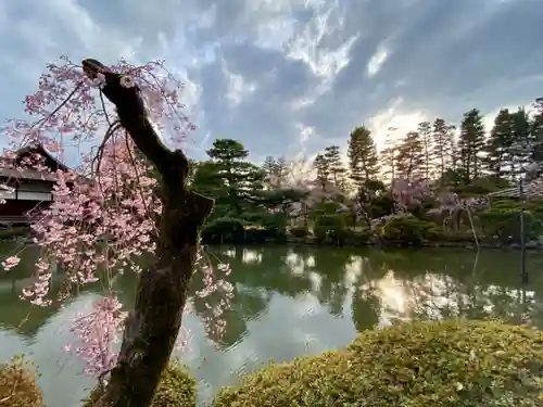 平安神宮の庭園