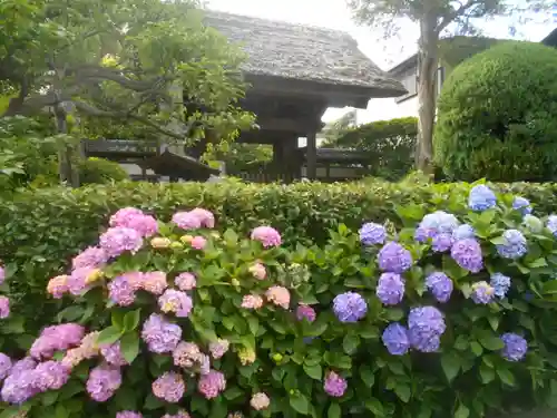 極楽寺（霊鷲山感應院極楽律寺）の庭園