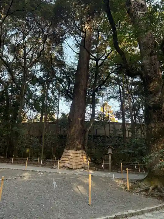 伊勢神宮内宮(皇大神宮)の{uncategorized: "未分類", other: "その他", undefined: "問題あり", building: "その他建物", grave: "お墓", sacred_gate: "鳥居", guardian: "狛犬", statue: "像", buddha: "仏像", history: "歴史", nature: "自然", garden: "庭園", animal: "動物", pagoda: "塔", temizu: "手水舎", mountain_gate: "山門・神門", sanctuary: "本殿・本堂", subordinate: "末社・摂社", art: "芸術", scenery: "景色", jizo: "地蔵", ema: "絵馬", goshuin: "御朱印", omikuji: "おみくじ", items: "授与品その他", amulet: "お守り", goshuincho: "御朱印帳", eats: "食事", festival: "お祭り", votive_dance: "神楽", shichigosan: "七五三参", wedding: "結婚式", experience: "体験その他", initially: "初詣", around: "周辺", anti_infection: "感染症対策"}