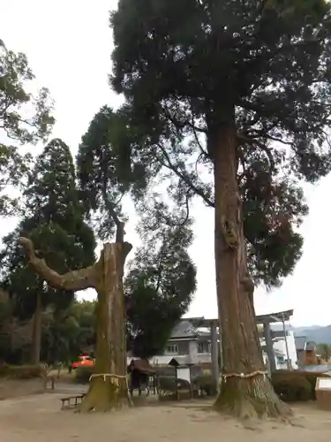 興玉神社(宮崎県)