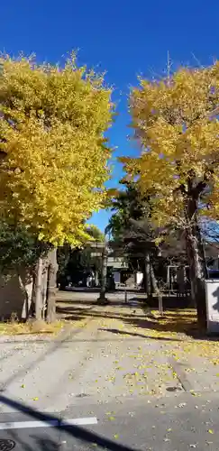 下総府中六所神社の鳥居