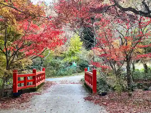 神藏寺(京都府)