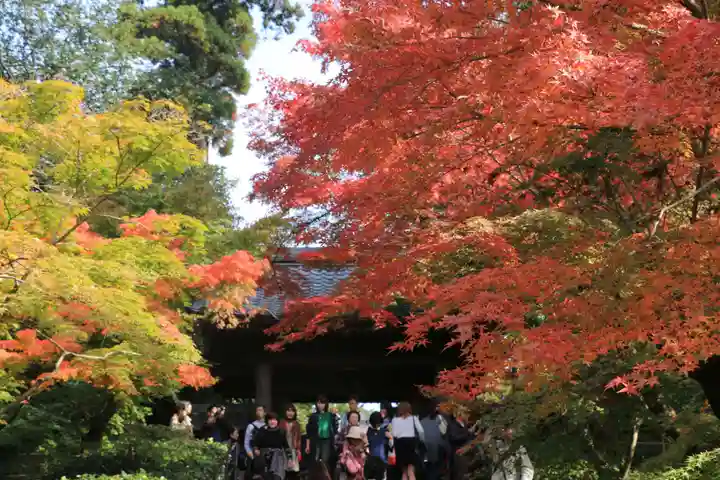 円覚寺(神奈川県)