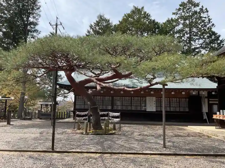 尾張冨士大宮浅間神社のその他建物