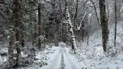 戸隠神社九頭龍社(長野県)