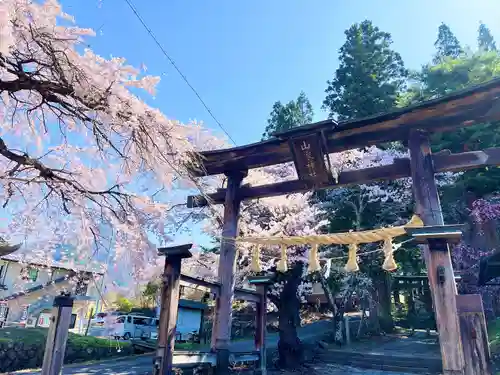 山家神社の鳥居