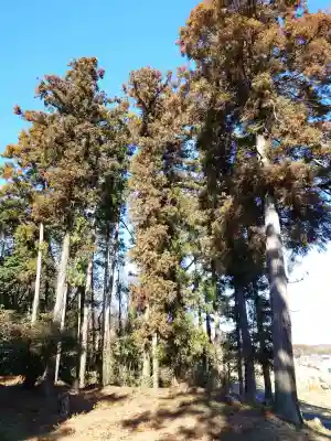 淡洲神社（勝田）の{uncategorized: "未分類", other: "その他", undefined: "問題あり", building: "その他建物", grave: "お墓", sacred_gate: "鳥居", guardian: "狛犬", statue: "像", buddha: "仏像", history: "歴史", nature: "自然", garden: "庭園", animal: "動物", pagoda: "塔", temizu: "手水舎", mountain_gate: "山門・神門", sanctuary: "本殿・本堂", subordinate: "末社・摂社", art: "芸術", scenery: "景色", jizo: "地蔵", ema: "絵馬", goshuin: "御朱印", omikuji: "おみくじ", items: "授与品その他", amulet: "お守り", goshuincho: "御朱印帳", eats: "食事", festival: "お祭り", votive_dance: "神楽", shichigosan: "七五三参", wedding: "結婚式", experience: "体験その他", initially: "初詣", around: "周辺", anti_infection: "感染症対策"}