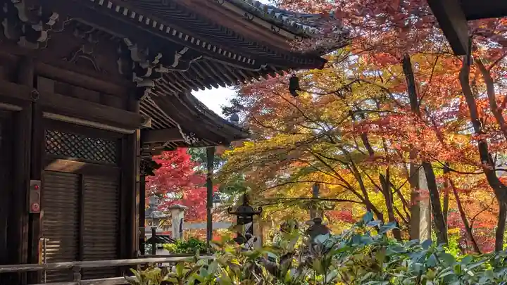 柳谷観音 楊谷寺(京都府)