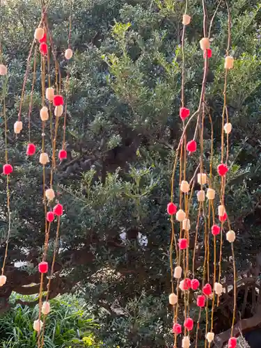 常泉寺の庭園