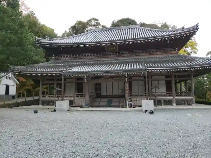 知恩院の{uncategorized: "未分類", other: "その他", undefined: "問題あり", building: "その他建物", grave: "お墓", sacred_gate: "鳥居", guardian: "狛犬", statue: "像", buddha: "仏像", history: "歴史", nature: "自然", garden: "庭園", animal: "動物", pagoda: "塔", temizu: "手水舎", mountain_gate: "山門・神門", sanctuary: "本殿・本堂", subordinate: "末社・摂社", art: "芸術", scenery: "景色", jizo: "地蔵", ema: "絵馬", goshuin: "御朱印", omikuji: "おみくじ", items: "授与品その他", amulet: "お守り", goshuincho: "御朱印帳", eats: "食事", festival: "お祭り", votive_dance: "神楽", shichigosan: "七五三参", wedding: "結婚式", experience: "体験その他", initially: "初詣", around: "周辺", anti_infection: "感染症対策"}