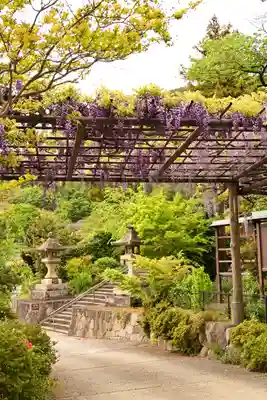 大善寺(山梨県)