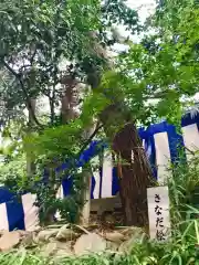 安居神社(大阪府)