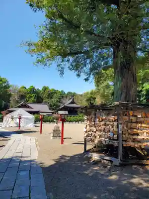 鷲宮神社(埼玉県)