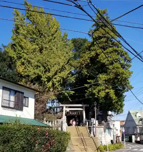 矢切神社の鳥居