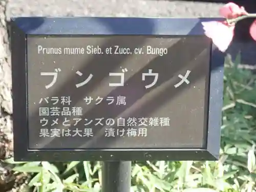 とげぬき地蔵尊 高岩寺の御朱印