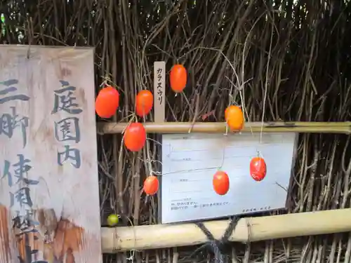 祇王寺(京都府)