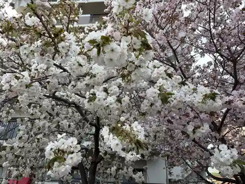 大阪天満宮(大阪府)