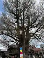 飛騨国分寺の{uncategorized: "未分類", other: "その他", undefined: "問題あり", building: "その他建物", grave: "お墓", sacred_gate: "鳥居", guardian: "狛犬", statue: "像", buddha: "仏像", history: "歴史", nature: "自然", garden: "庭園", animal: "動物", pagoda: "塔", temizu: "手水舎", mountain_gate: "山門・神門", sanctuary: "本殿・本堂", subordinate: "末社・摂社", art: "芸術", scenery: "景色", jizo: "地蔵", ema: "絵馬", goshuin: "御朱印", omikuji: "おみくじ", items: "授与品その他", amulet: "お守り", goshuincho: "御朱印帳", eats: "食事", festival: "お祭り", votive_dance: "神楽", shichigosan: "七五三参", wedding: "結婚式", experience: "体験その他", initially: "初詣", around: "周辺", anti_infection: "感染症対策"}