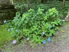 戸隠神社宝光社(長野県)