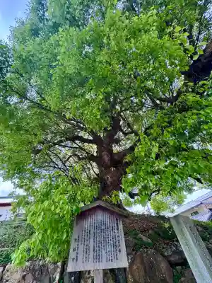 青蓮院門跡(京都府)