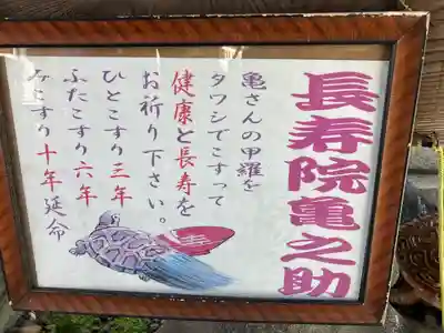 櫻山神社(岩手県)