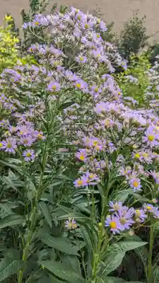 玉田神社(京都府)