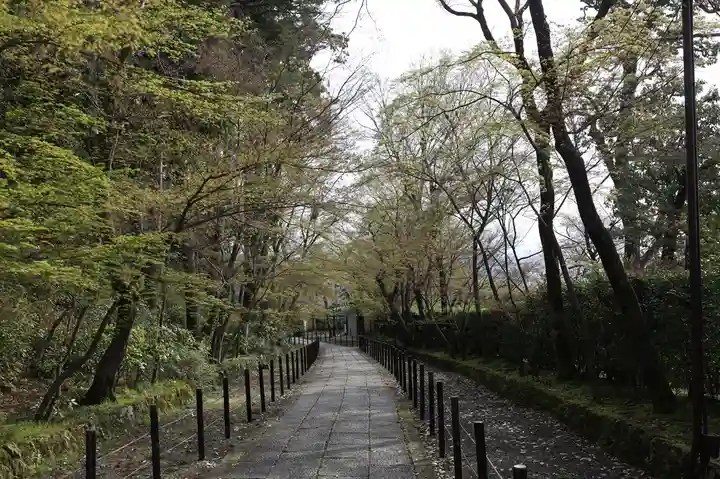 光明寺(粟生光明寺)(京都府)