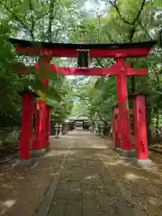 峯ヶ岡八幡神社(埼玉県)