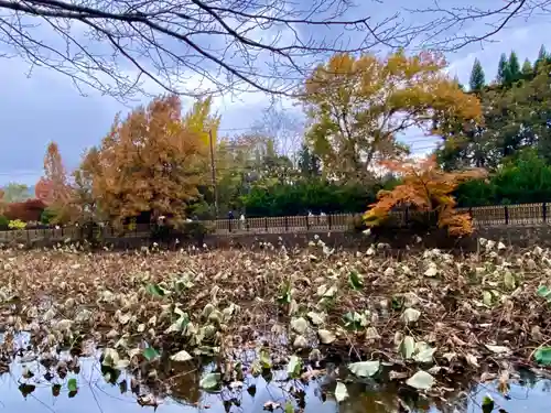 御髪神社の周辺