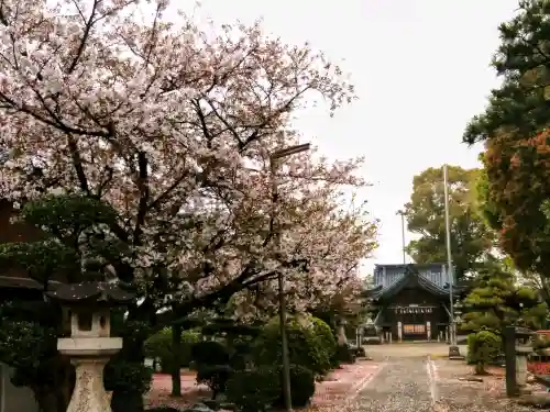 八幡社の{uncategorized: "未分類", other: "その他", undefined: "問題あり", building: "その他建物", grave: "お墓", sacred_gate: "鳥居", guardian: "狛犬", statue: "像", buddha: "仏像", history: "歴史", nature: "自然", garden: "庭園", animal: "動物", pagoda: "塔", temizu: "手水舎", mountain_gate: "山門・神門", sanctuary: "本殿・本堂", subordinate: "末社・摂社", art: "芸術", scenery: "景色", jizo: "地蔵", ema: "絵馬", goshuin: "御朱印", omikuji: "おみくじ", items: "授与品その他", amulet: "お守り", goshuincho: "御朱印帳", eats: "食事", festival: "お祭り", votive_dance: "神楽", shichigosan: "七五三参", wedding: "結婚式", experience: "体験その他", initially: "初詣", around: "周辺", anti_infection: "感染症対策"}