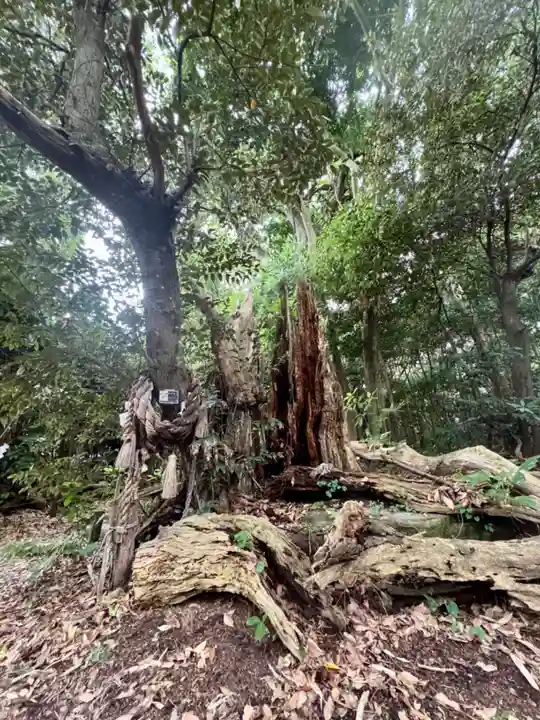 大湊神社(雄島)(福井県)