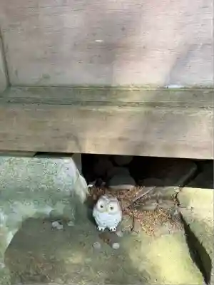 鷲子山上神社(栃木県)
