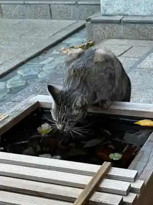 王子神社(徳島県)