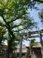 本郷氷川神社(東京都)