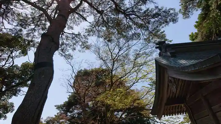 唐澤山神社のその他建物