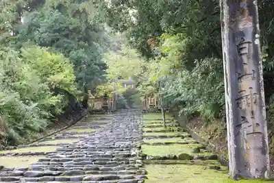 平泉寺白山神社(福井県)