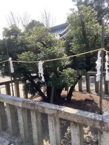 太閤山常泉寺の庭園