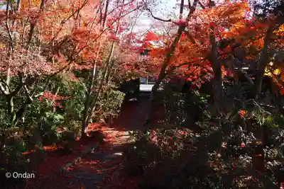 善法律寺(京都府)