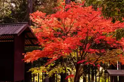 新海三社神社(長野県)