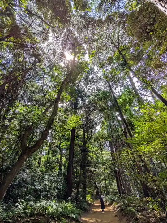 鹿島神宮の自然