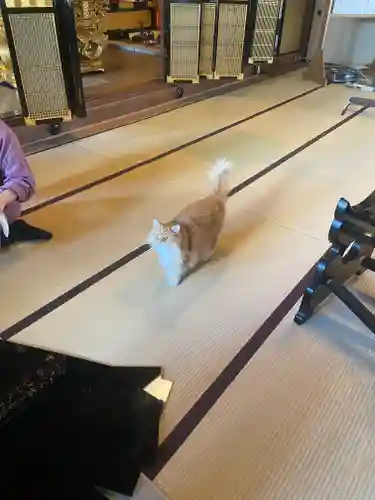 當光寺(東京都)