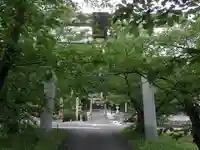 諏訪神社の鳥居