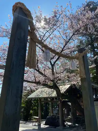 伊勢山皇大神宮の鳥居