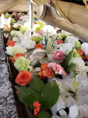 鳩森八幡神社の手水舎