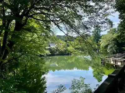 親之井稲荷(尊)跡(東京都)