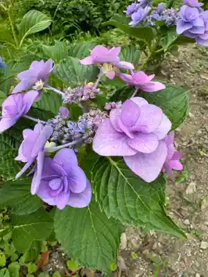 阿久津「田村神社」（郡山市阿久津町）旧社名：伊豆箱根三嶋三社(福島県)