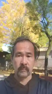 高木神社(東京都)