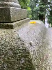 八幡神社(千葉県)