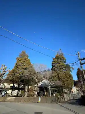 祐照庵　大戸観音堂(東京都)